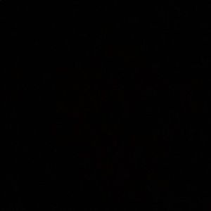 Meet your Posher, Mattie